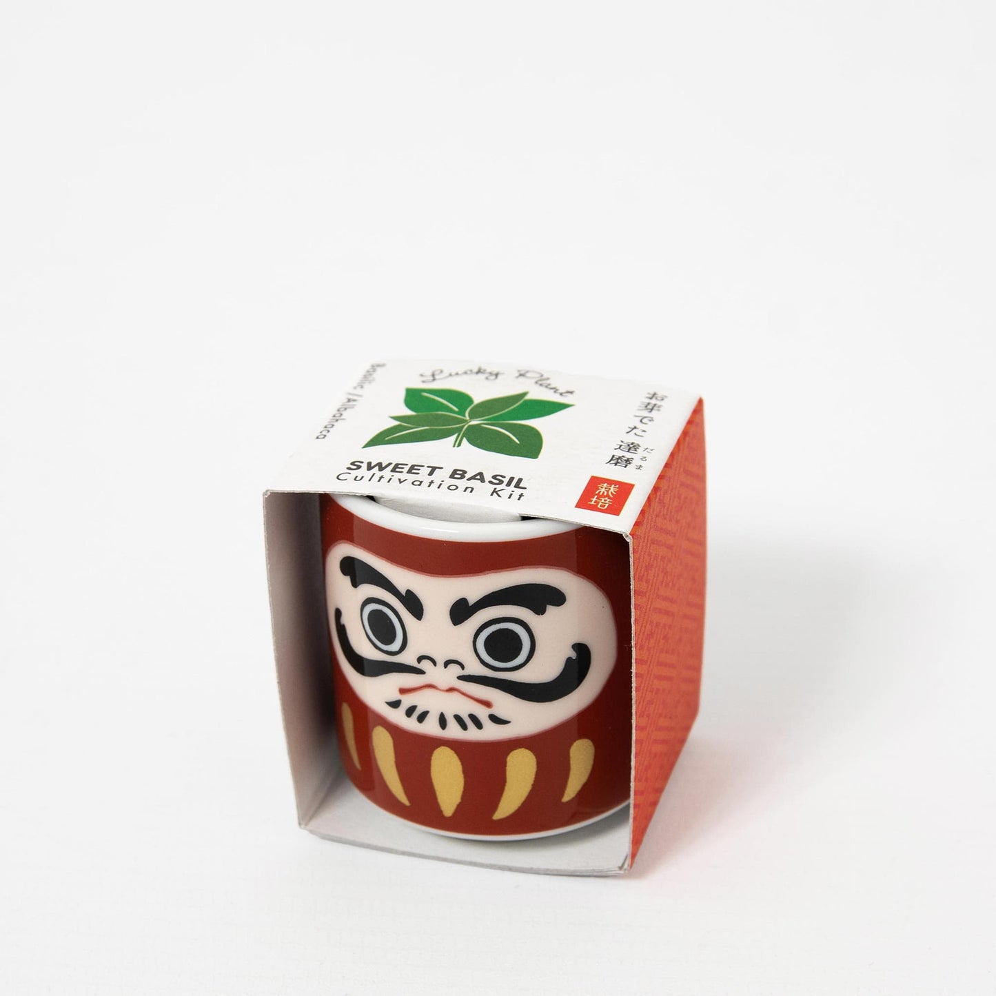 Lucky Plant Daruma - Sweet Basil Growing Kit