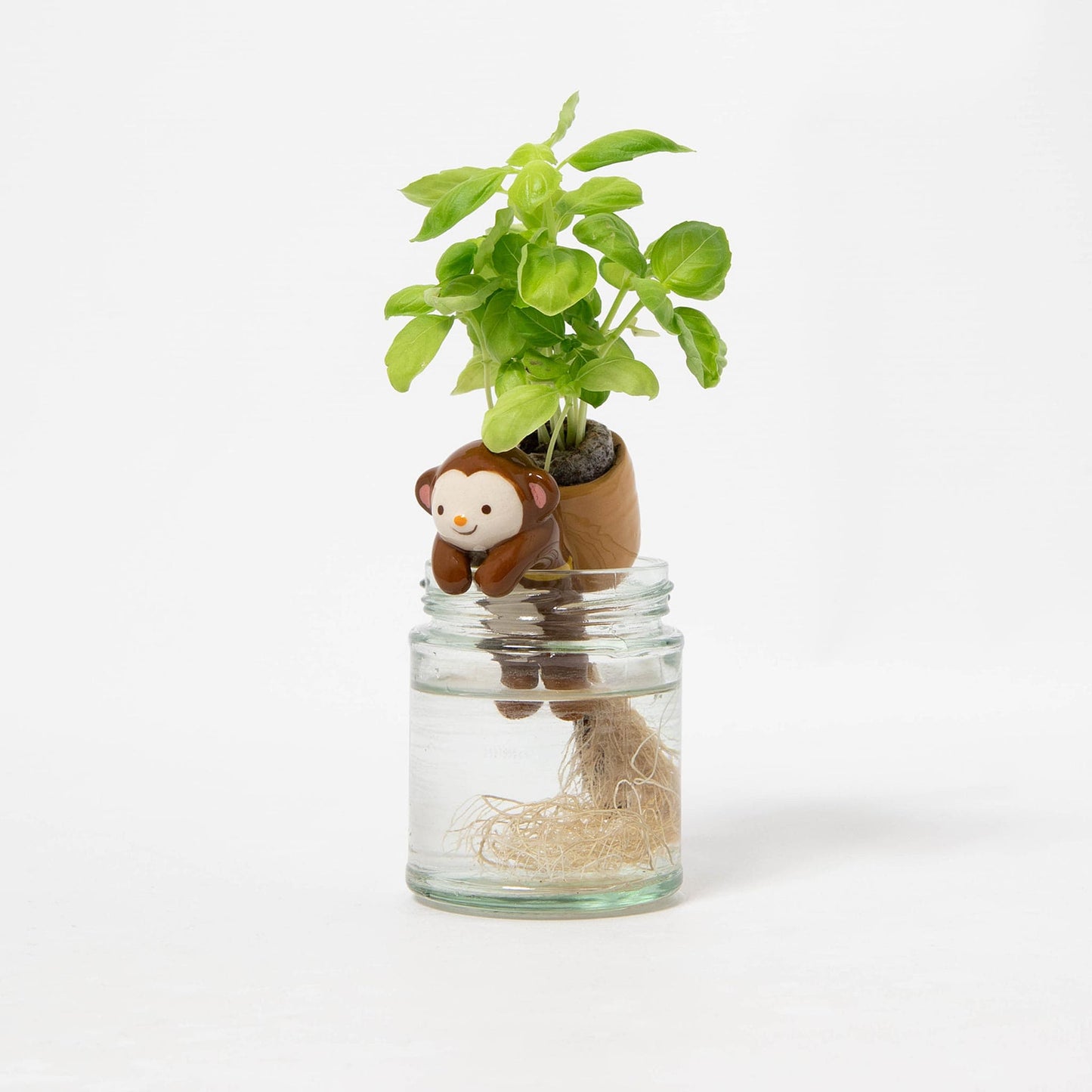 Shippon Dog - Clover Growing Kit
