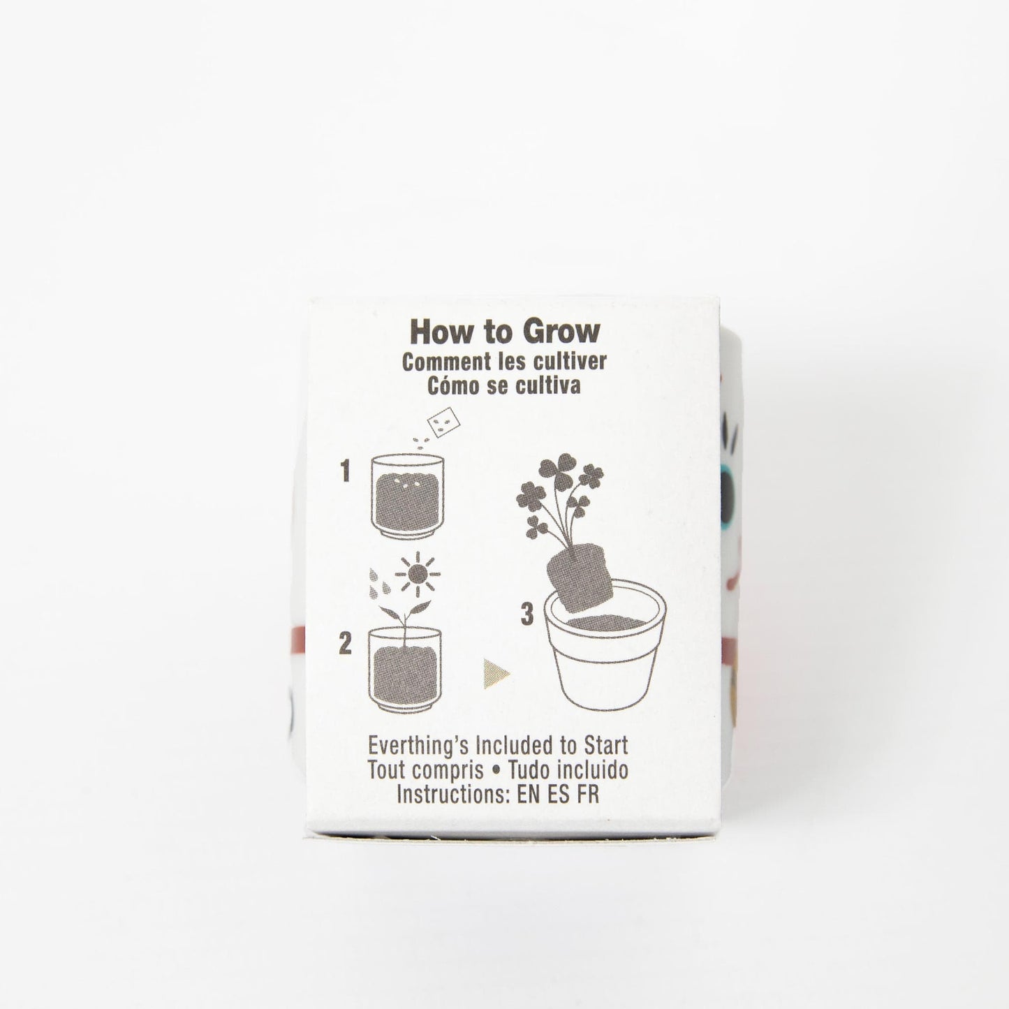 Lucky Plant Cat - White Clover Growing Kit