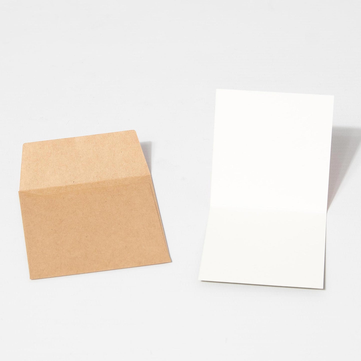 Mini Greeting Card - Nigiri