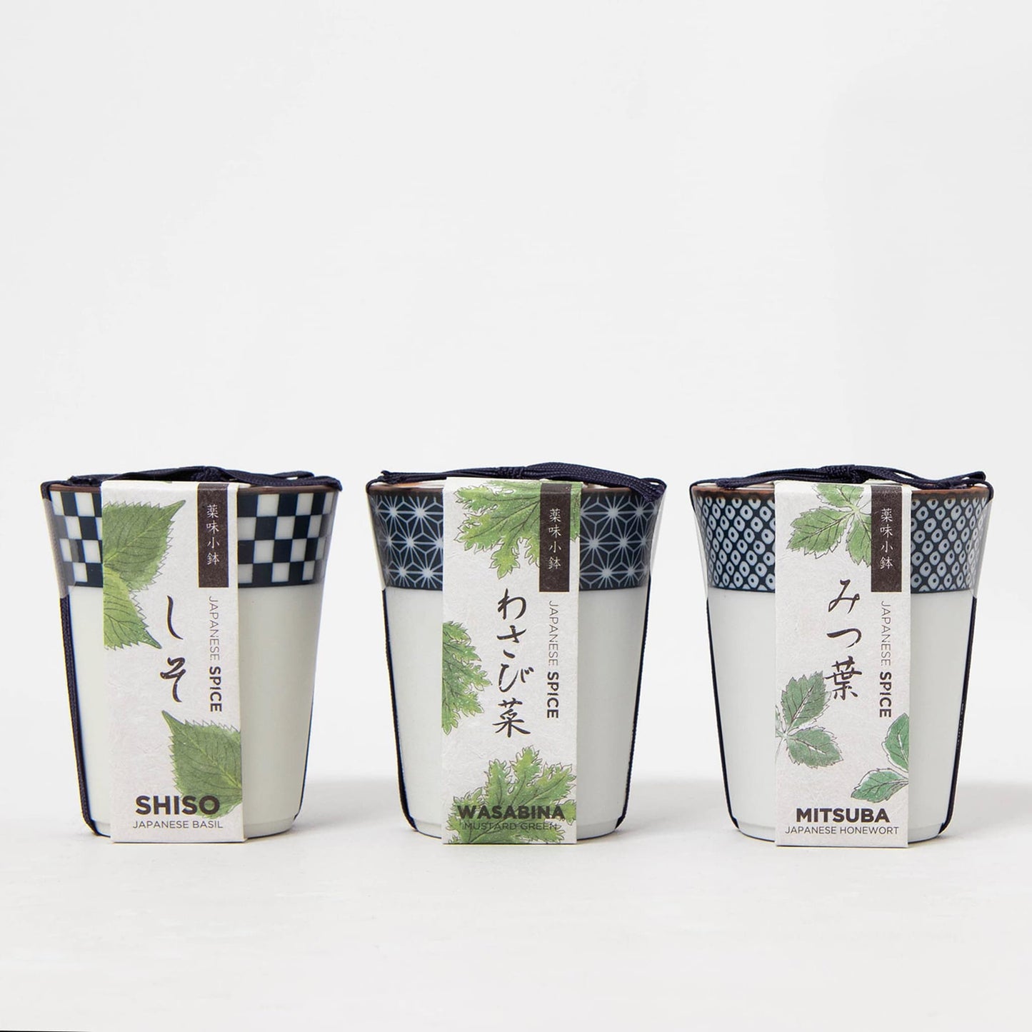 Yakumi: Japanese Spices - Mitsuba Growing Kit