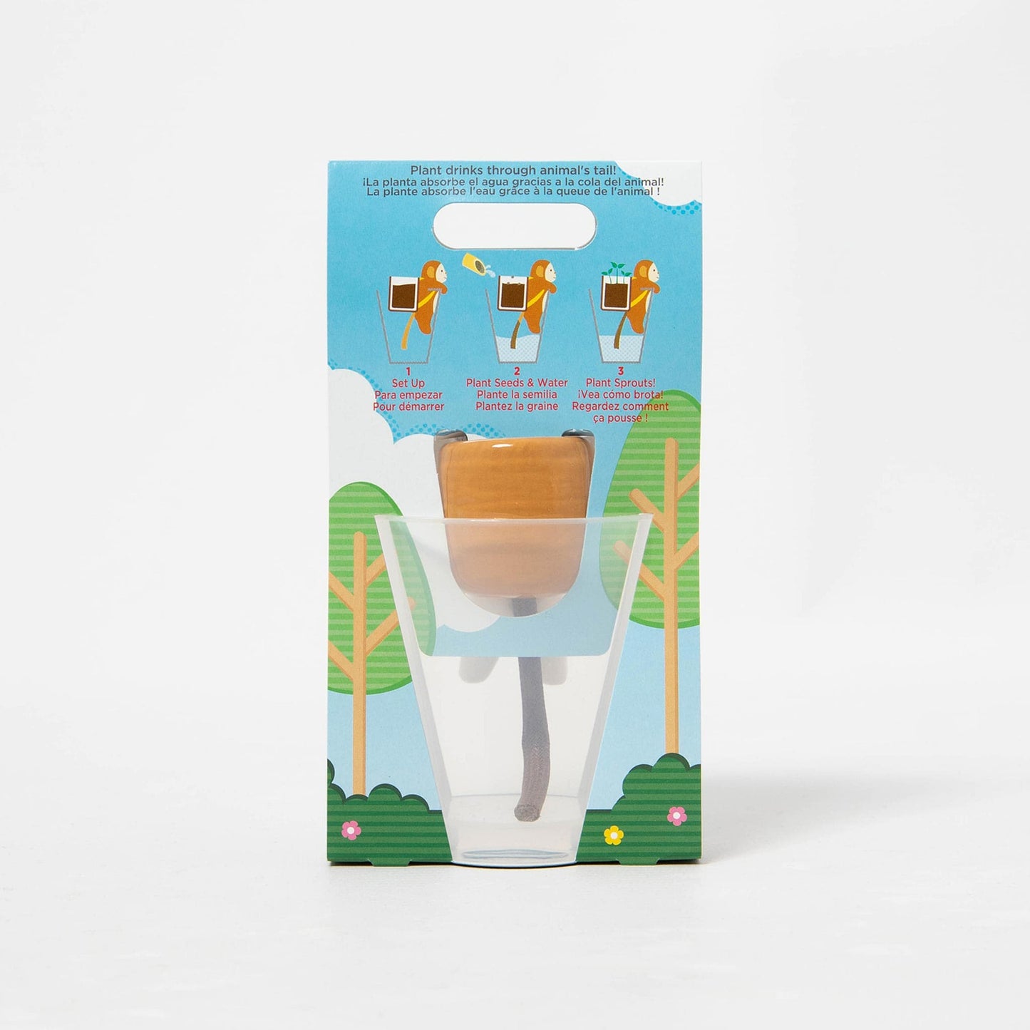 Shippon Dog - Clover Growing Kit