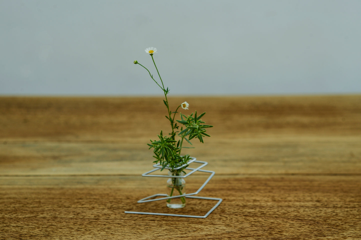 Vase - SPIRAL with Tube