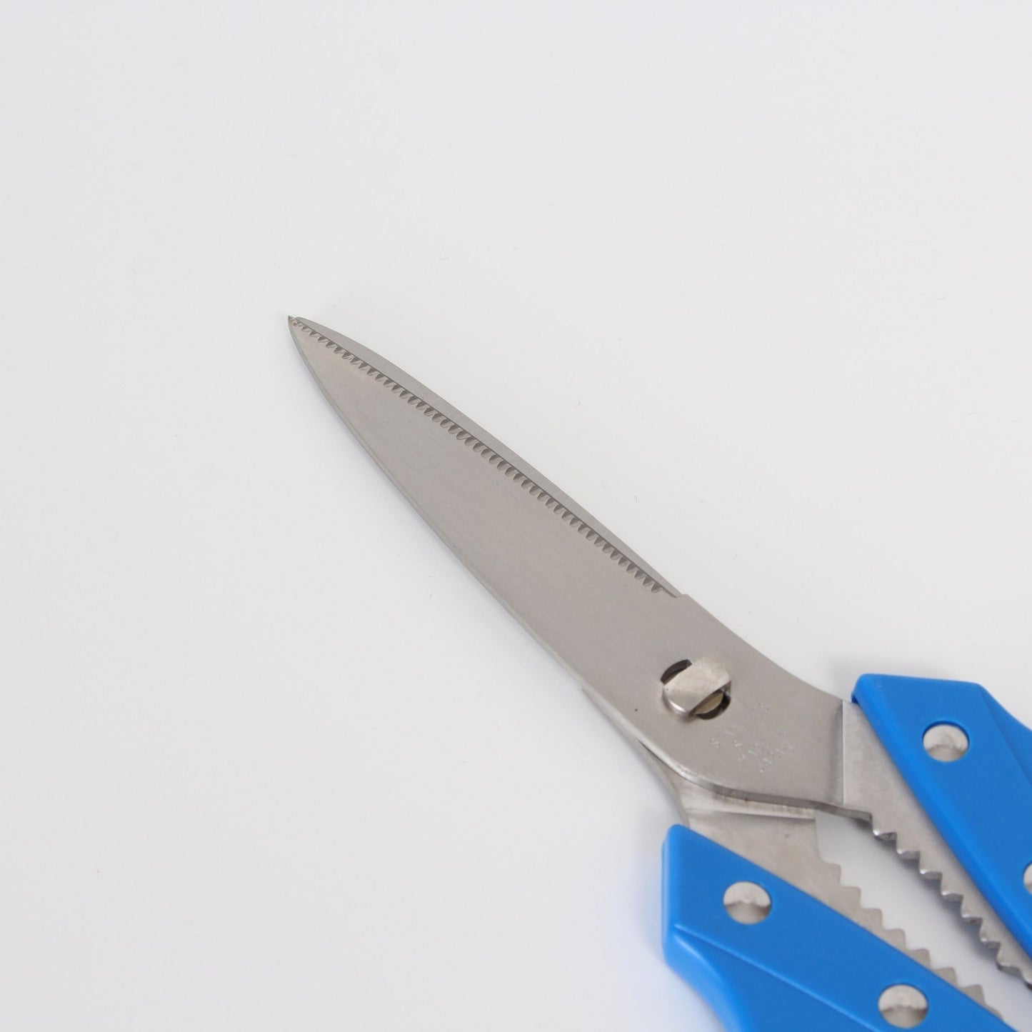 Kitchen Scissors - Blue