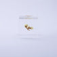 Sola Cube | Immortelle | Made in Kyoto