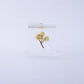 Sola Cube | Immortelle | Made in Kyoto