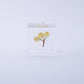 Sola Cube | Immortelle | Made in Kyoto