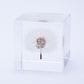 Sola Cube | Dandelion | Made in Kyoto