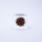 Sola Cube | Sweetgum | Made in Kyoto