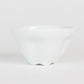Tea Cup - Sakura