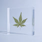 Sola Tile | Japanese Maple | Made in Kyoto