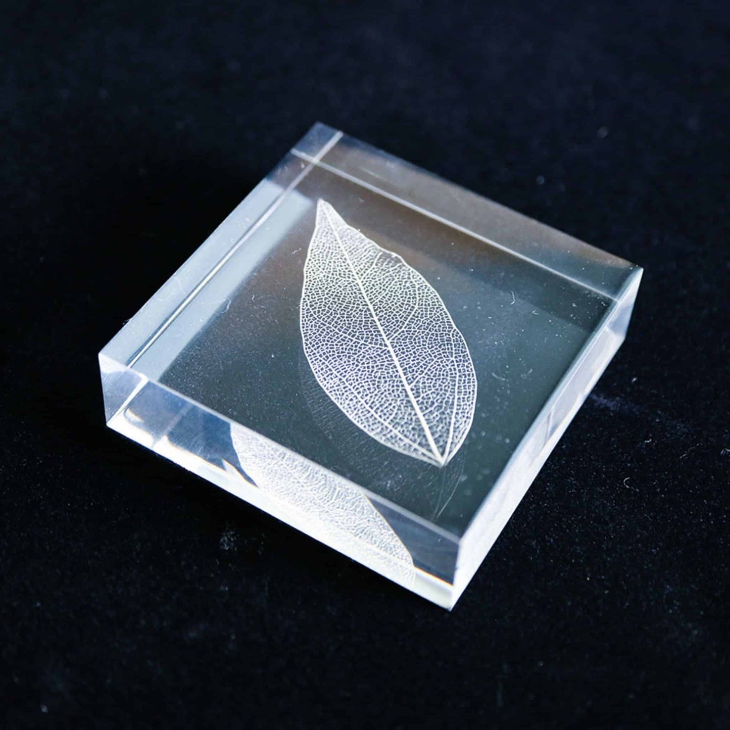 Sola Tile | Leaf Veins | Made in Kyoto