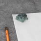 Japanese Cast Iron Paperweight - Turtle