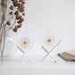 Sola Cube | Dandelion | Made in Kyoto