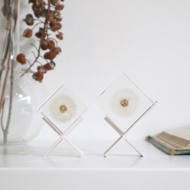 Sola Cube | Dandelion | Made in Kyoto
