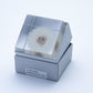 Sola Cube | Dandelion | Made in Kyoto