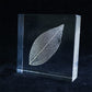 Sola Tile | Leaf Veins | Made in Kyoto