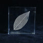 Sola Tile | Leaf Veins | Made in Kyoto