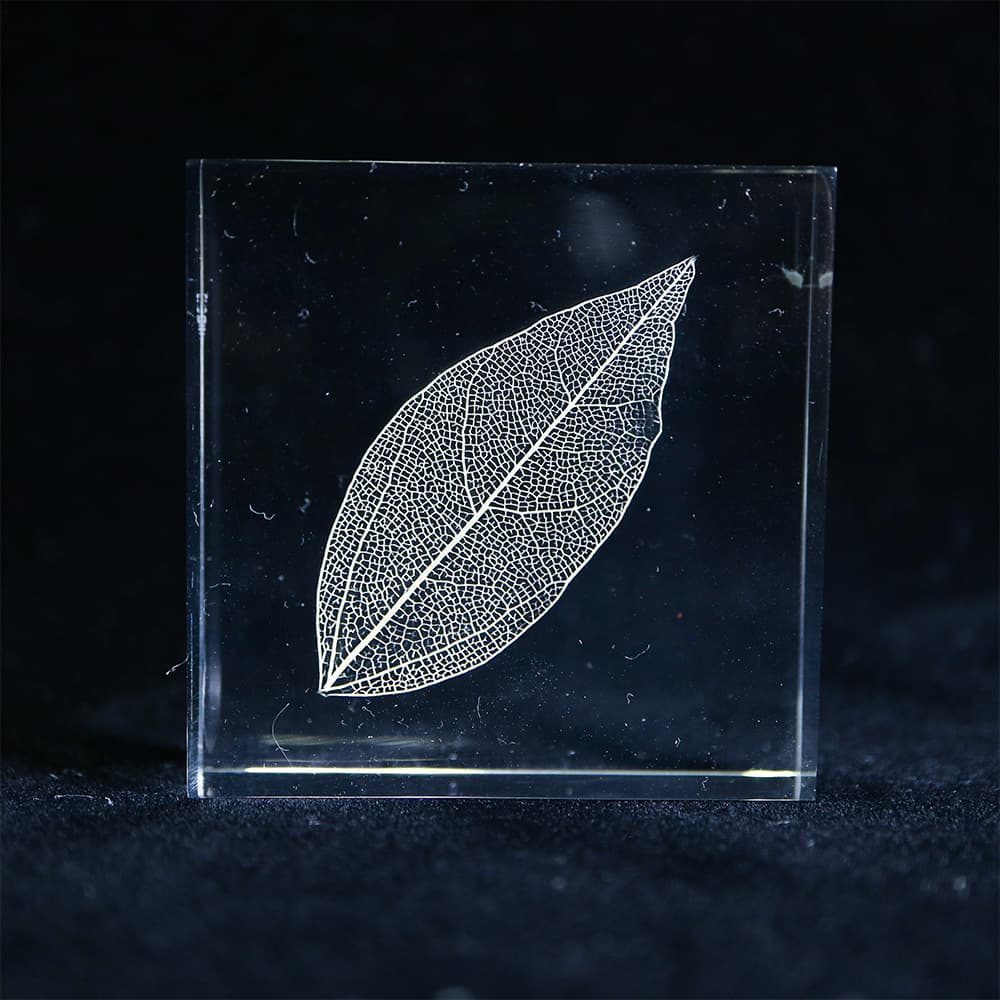 Sola Tile | Leaf Veins | Made in Kyoto