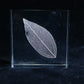 Sola Tile | Leaf Veins | Made in Kyoto