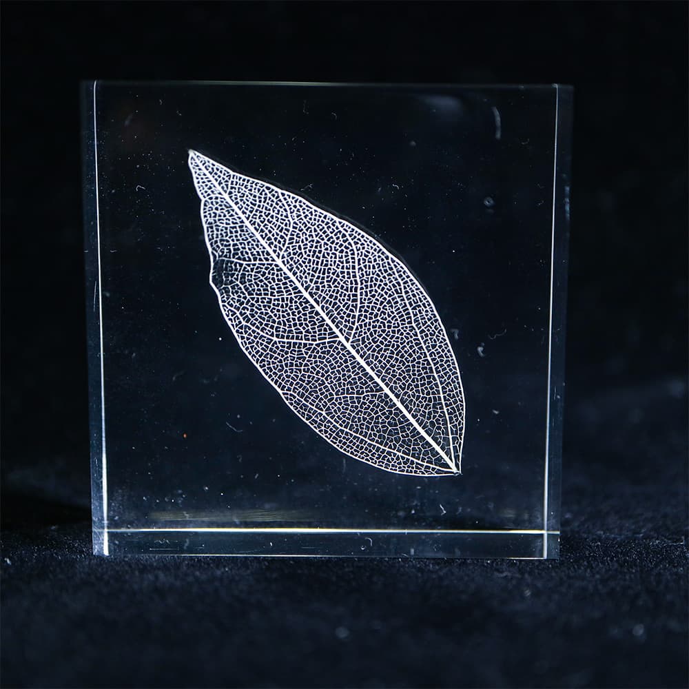 Sola Tile | Leaf Veins | Made in Kyoto