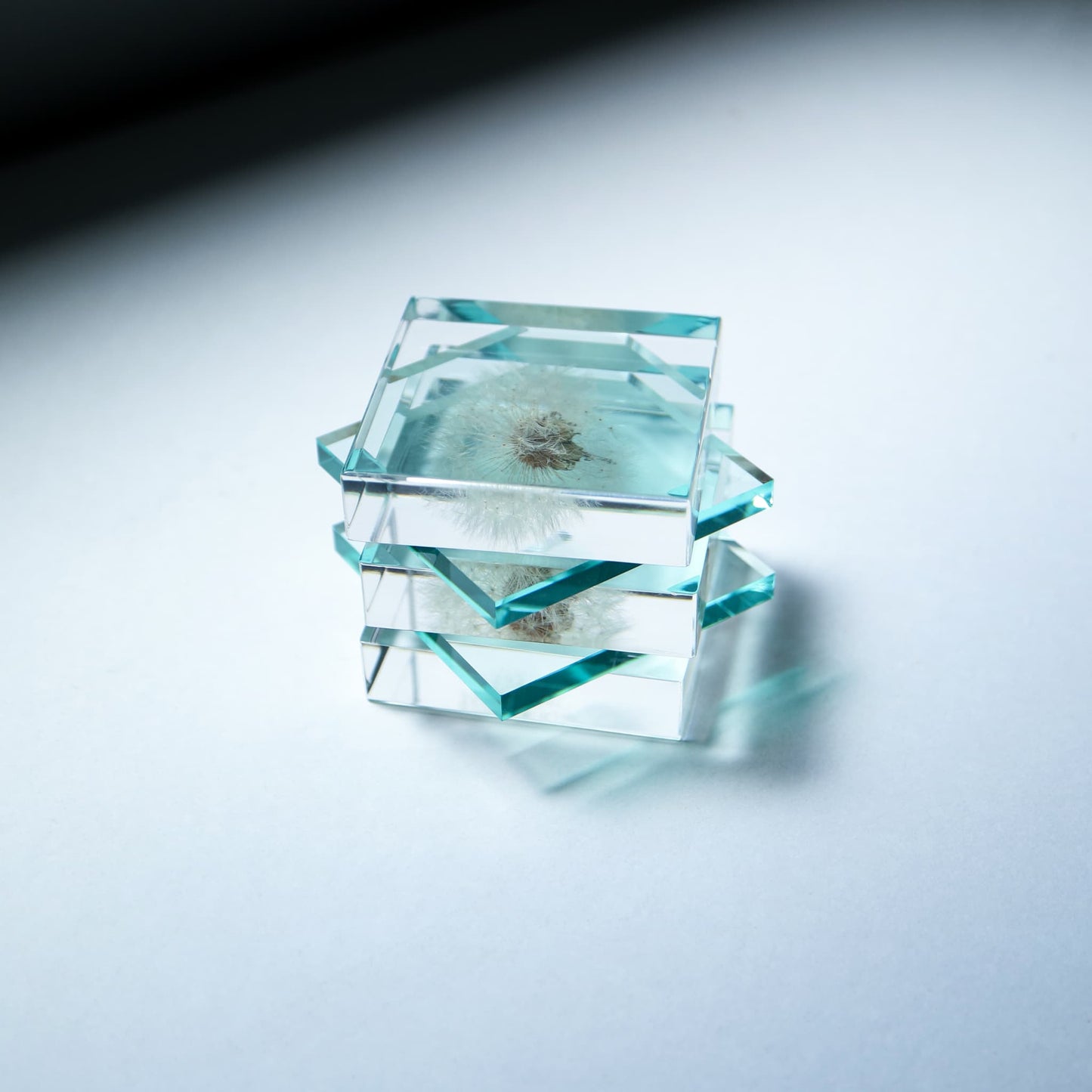 Sola Cube Slice | Dandelion | Made in Kyoto
