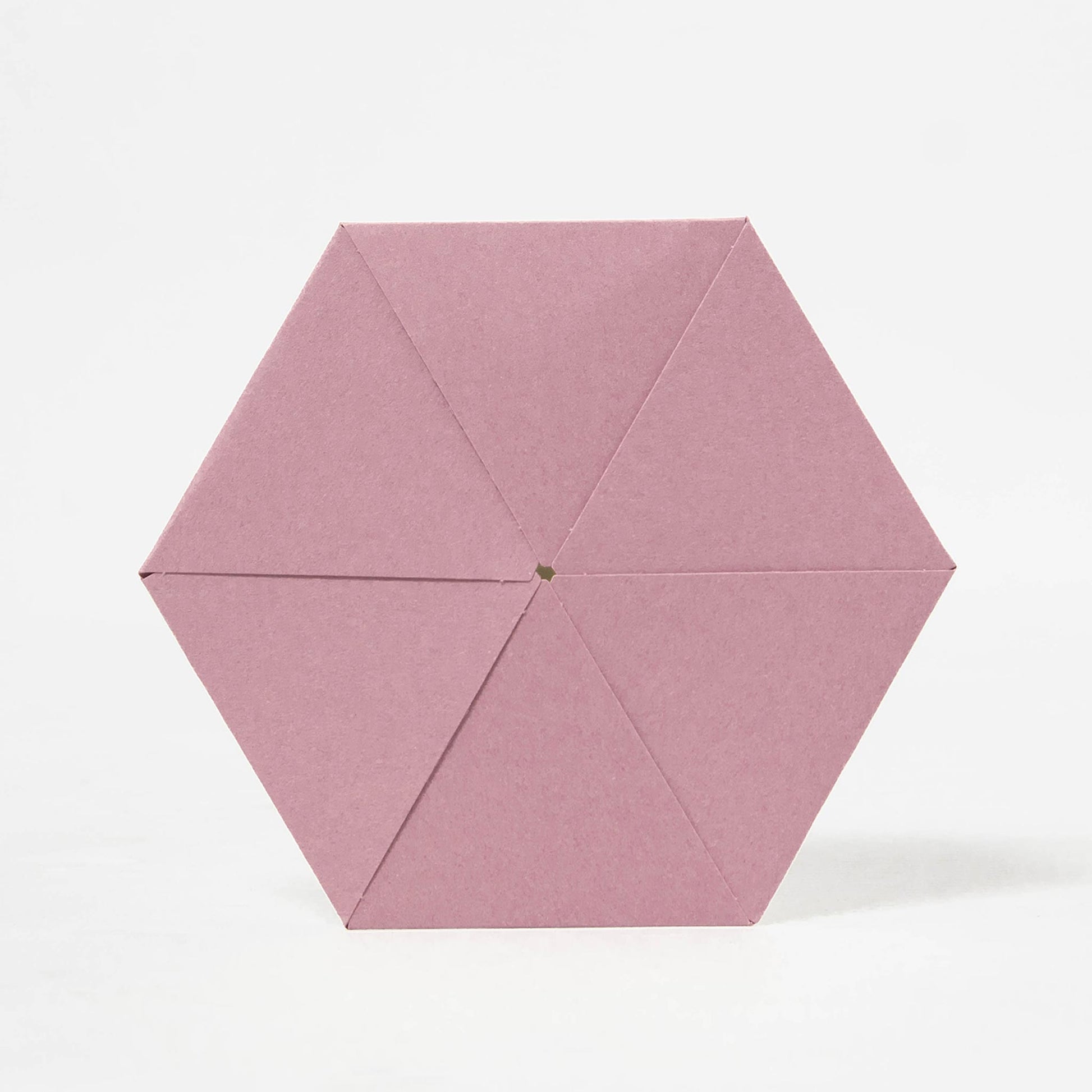 ROKKAKU Hexagonal Greeting Card - Tsubaki Camellia