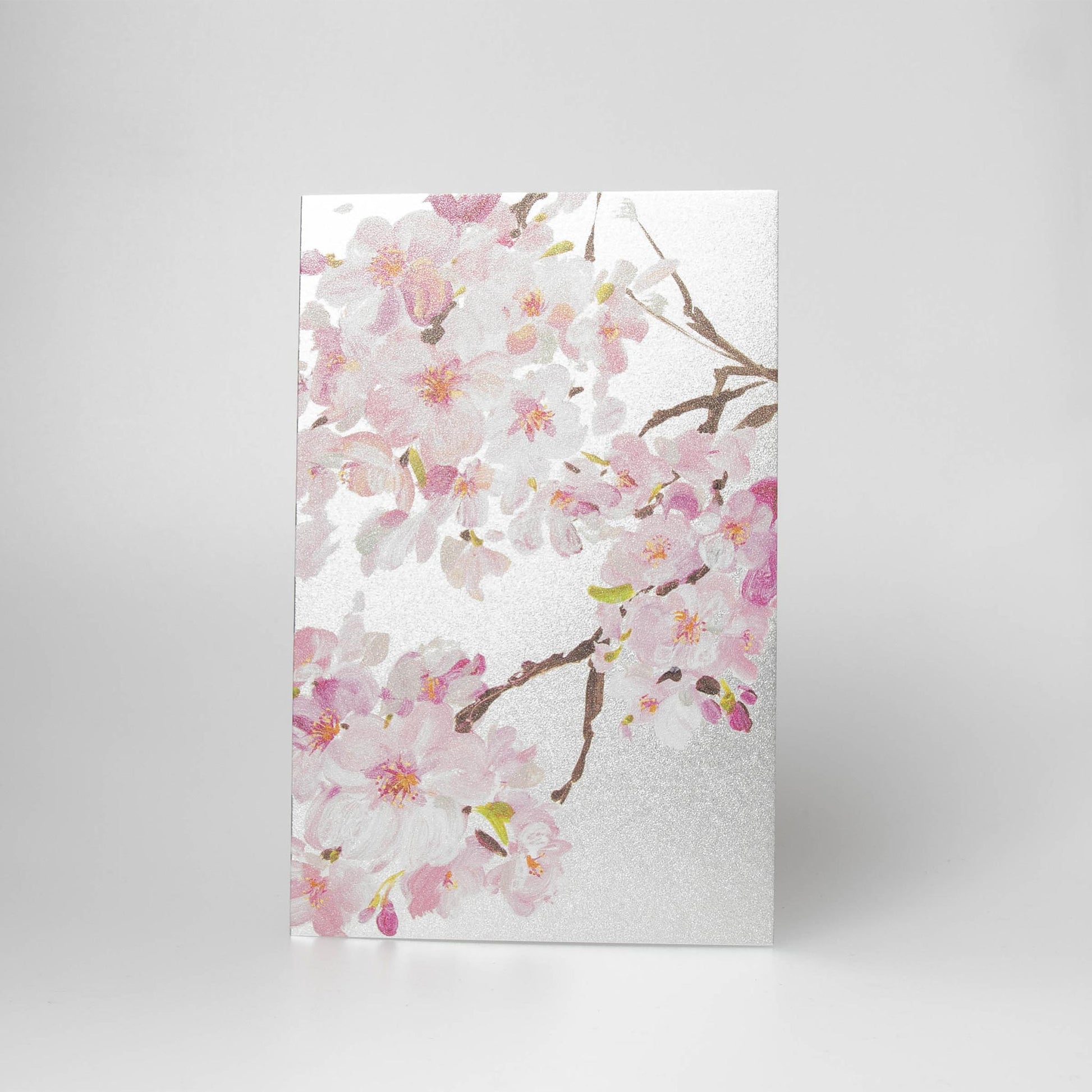 Fukui Asahido Greeting Card - Sakura