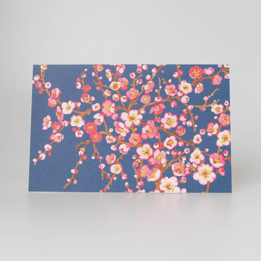 Fukui Asahido Greeting Card - Ume Japanese Apricot Blossom