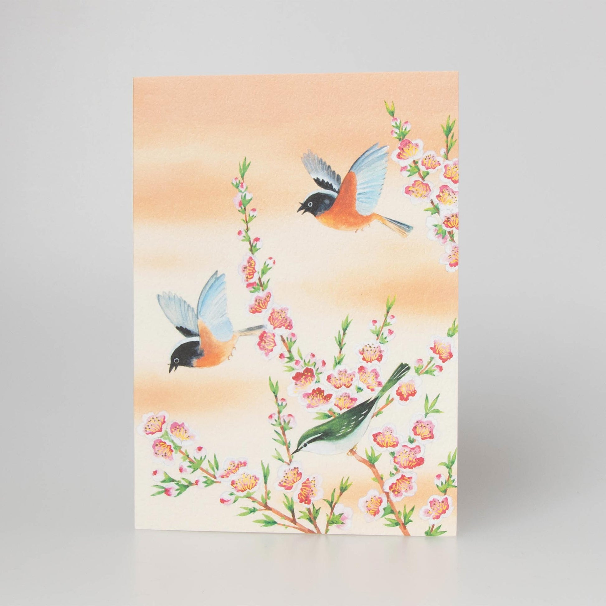 Fukui Asahido Greeting Card - Birds and Flowers
