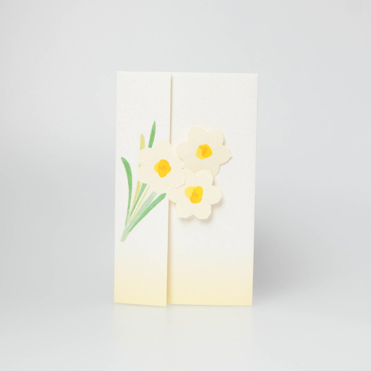 Daffodil - Suisen