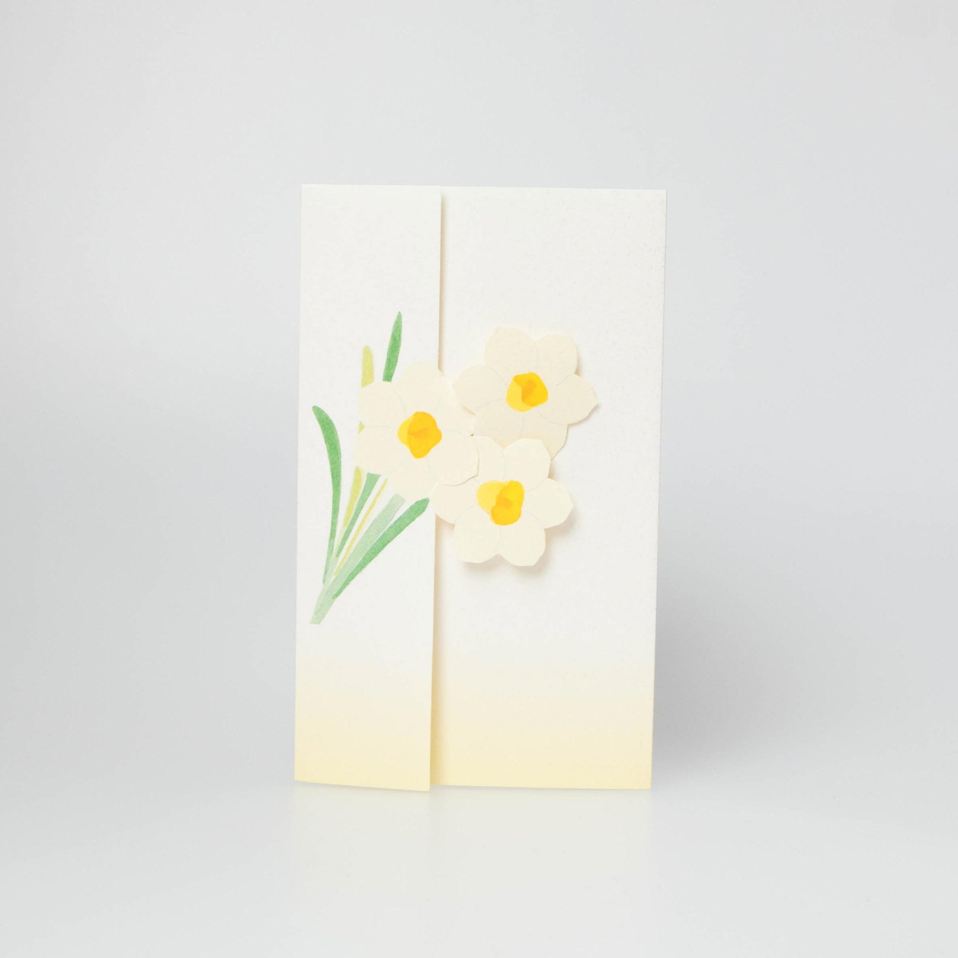 Daffodil - Suisen