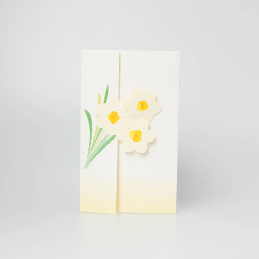 Daffodil - Suisen