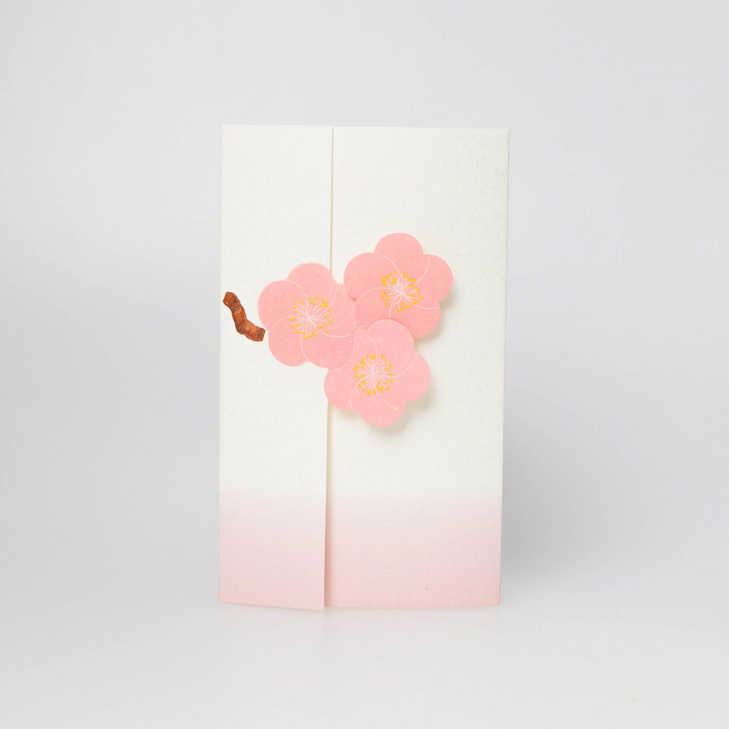 Japanese Plum - Ume