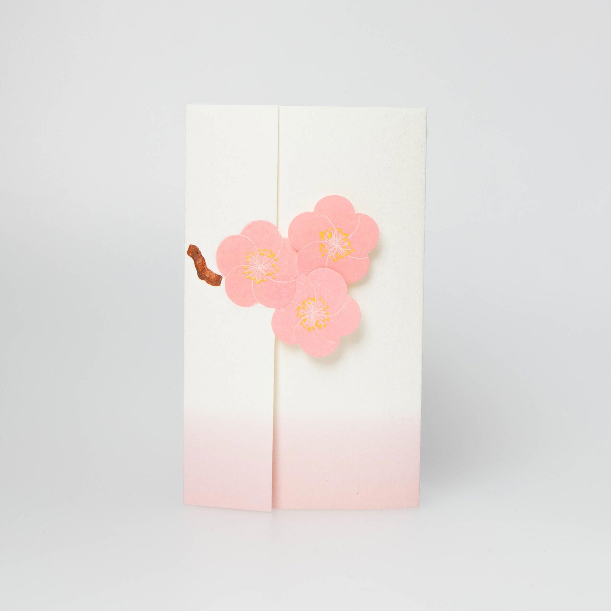 Japanese Plum - Ume