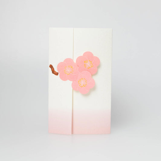 Japanese Plum - Ume