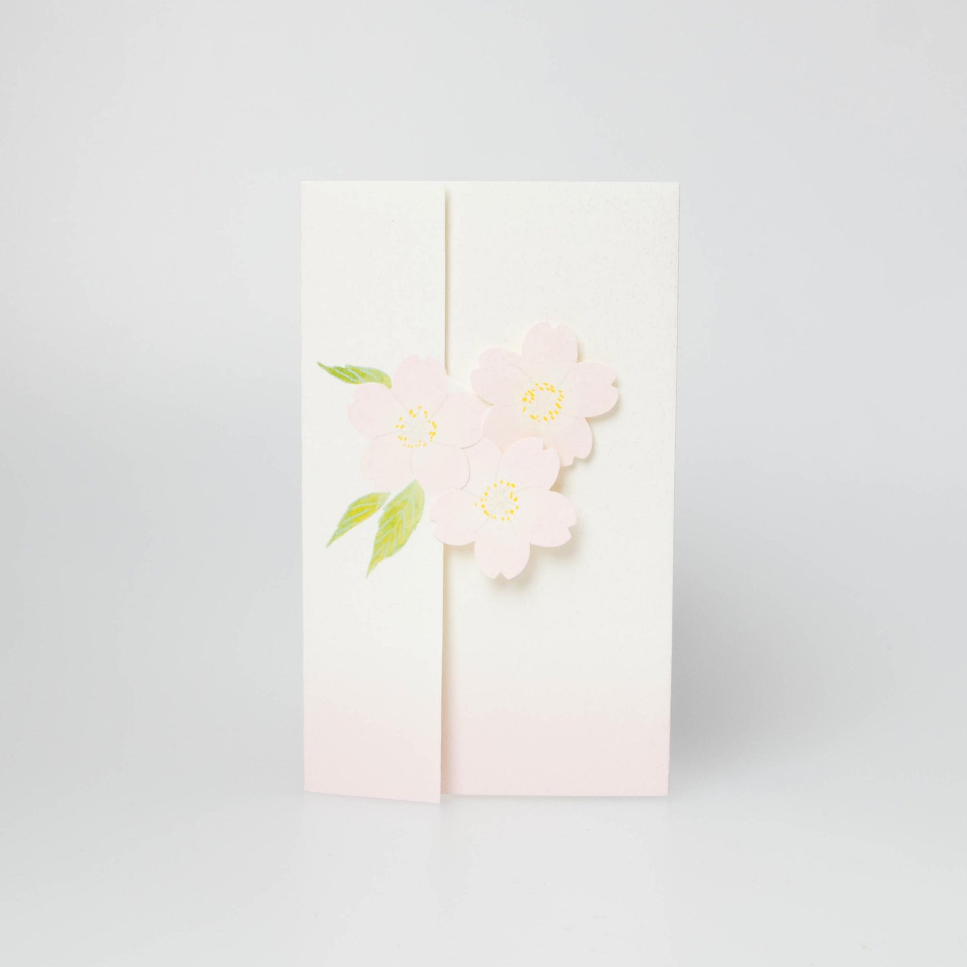 Cherry Blossoms - Sakura