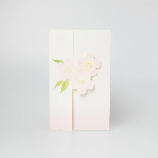 Cherry Blossoms - Sakura