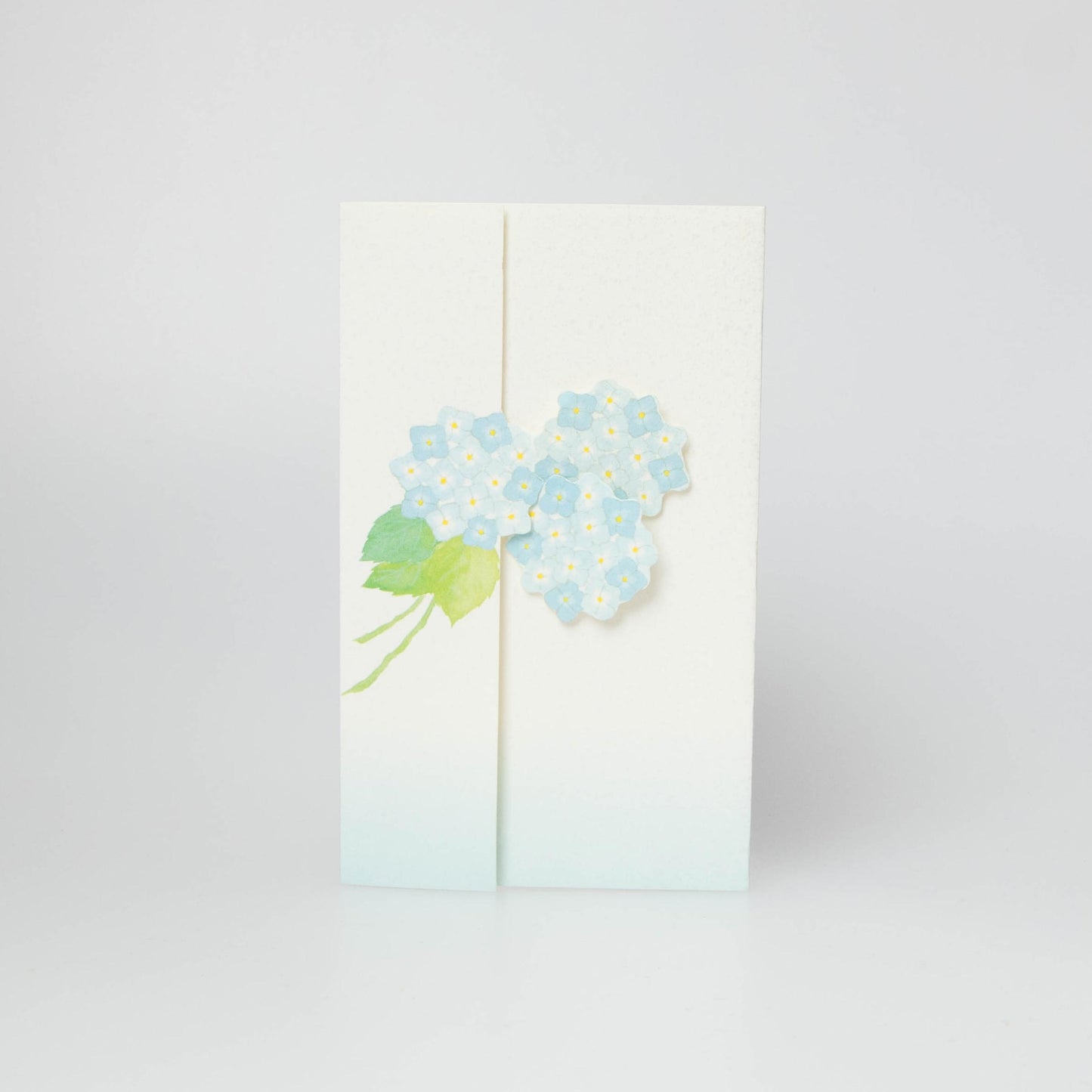 Hydrangea - Azisai