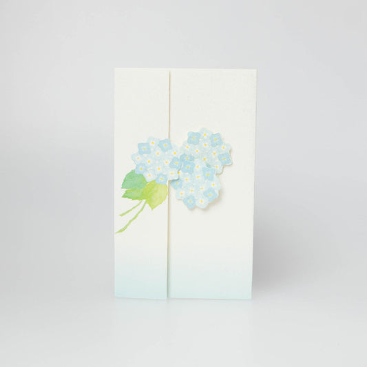 Hydrangea - Azisai