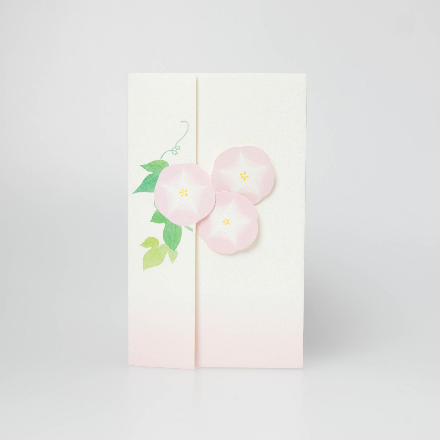 Morning Glory - Asagao