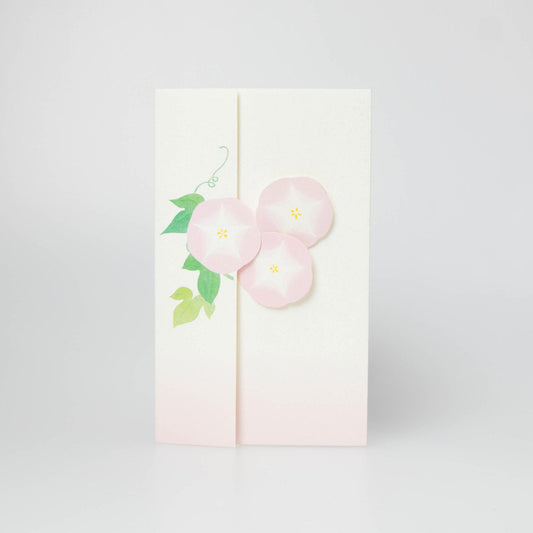 Morning Glory - Asagao