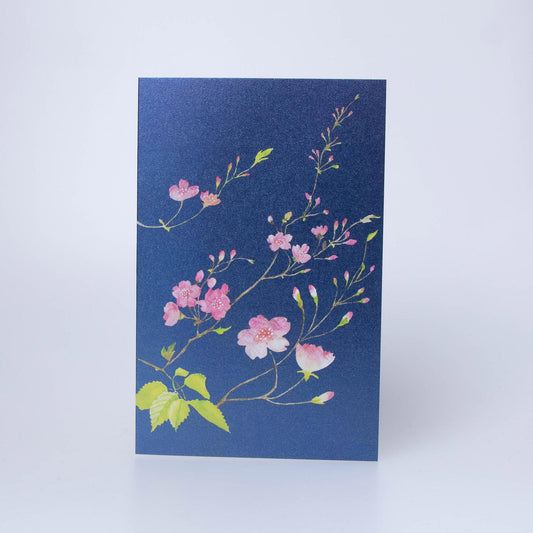 Greeting Card - Cherry Blossom On Navy