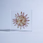 Sola Tile - Astrantia
