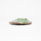 Edamame Candle