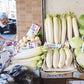 Niwaki Daikon Mino Wase Seeds