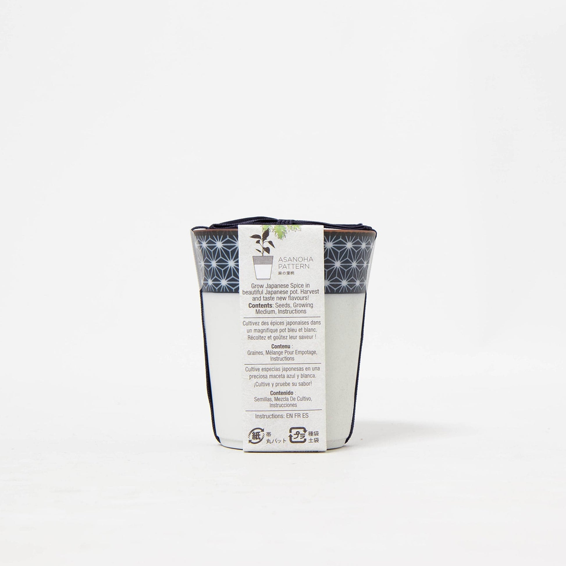 Yakumi: Japanese Spices - Wasabina Growing Kit