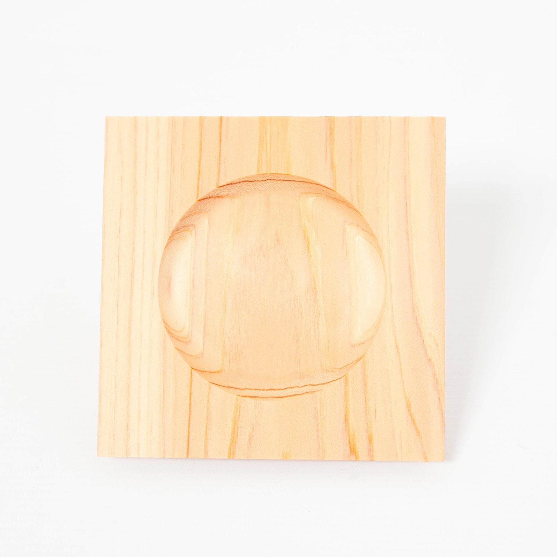 Coaster Japanese Hinoki Cypress
