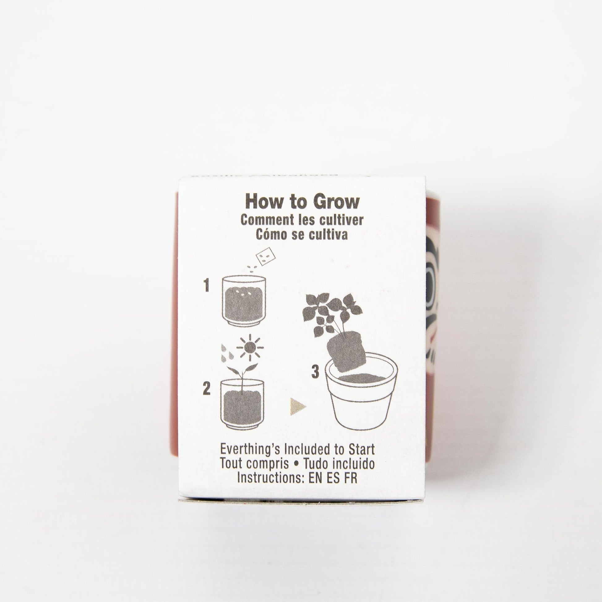 Lucky Plant Daruma - Sweet Basil Growing Kit