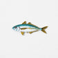 Iron On Patch - Aji Horse Mackerel